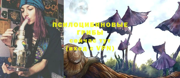 spice Алзамай