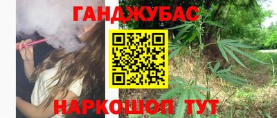 шишки Тверь