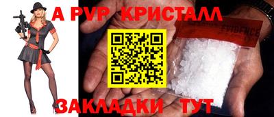 шишки Тверь