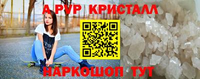 шишки Тверь
