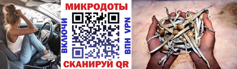 Галлюциногенные грибы мицелий  даркнет официальный сайт  Нижнекамск  купить  цена 