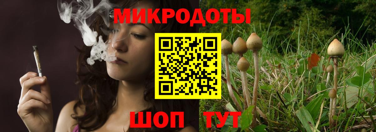 Галлюциногенные грибы Cubensis  Псилоцибиновые грибы Psilocybine cubensis  Нижнекамск  Вход с VPN 