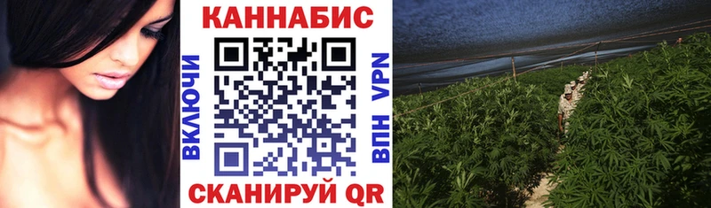 гидра где продают наркотики Нижнекамск Бошки марихуана план